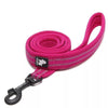 pink light dog lead from Truelove