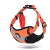 orange step in dog harness truelove