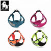 truelove step in dog harness range