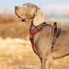 red truelove dog harness with quick release neck clip