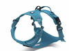 Blue Truelove dog harness with top clip