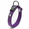 reflective dog collar purple