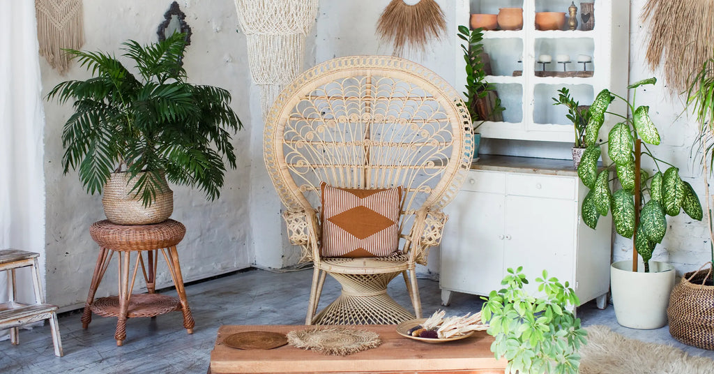 Bohemian Organic Modern stylish interior with peacock armchair green plants in flowerpots and vintage boho details