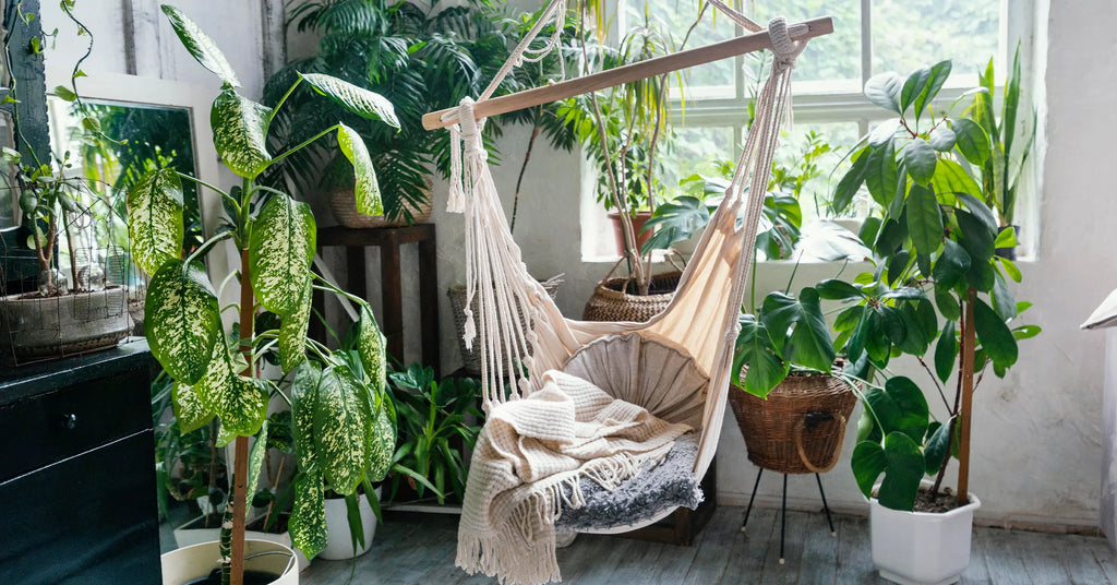 Modern Organic Style Room interior design