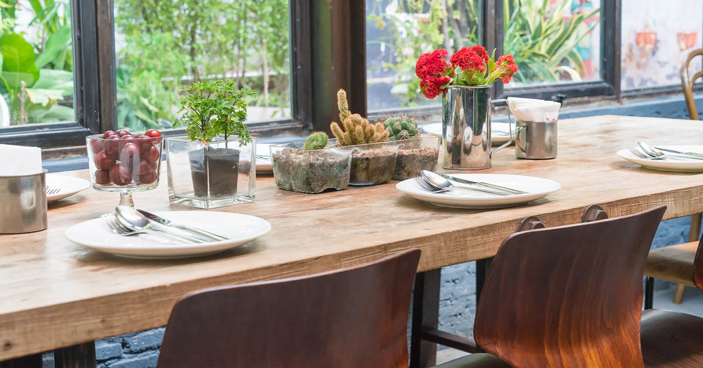 Organic Moder Stye Table set on dining table