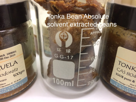tonka absolute bean