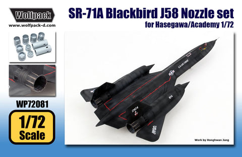 large scale sr 71 model