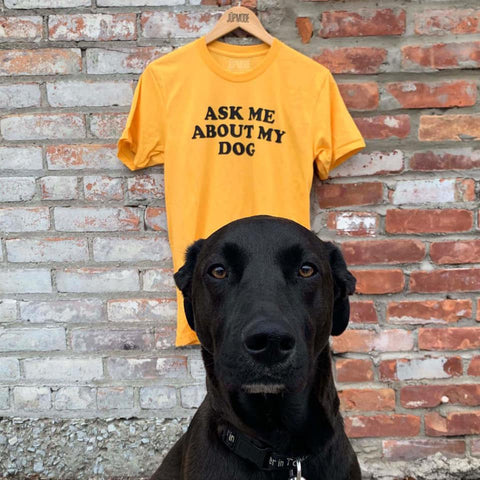 dog in front of ask me about my dog shirt