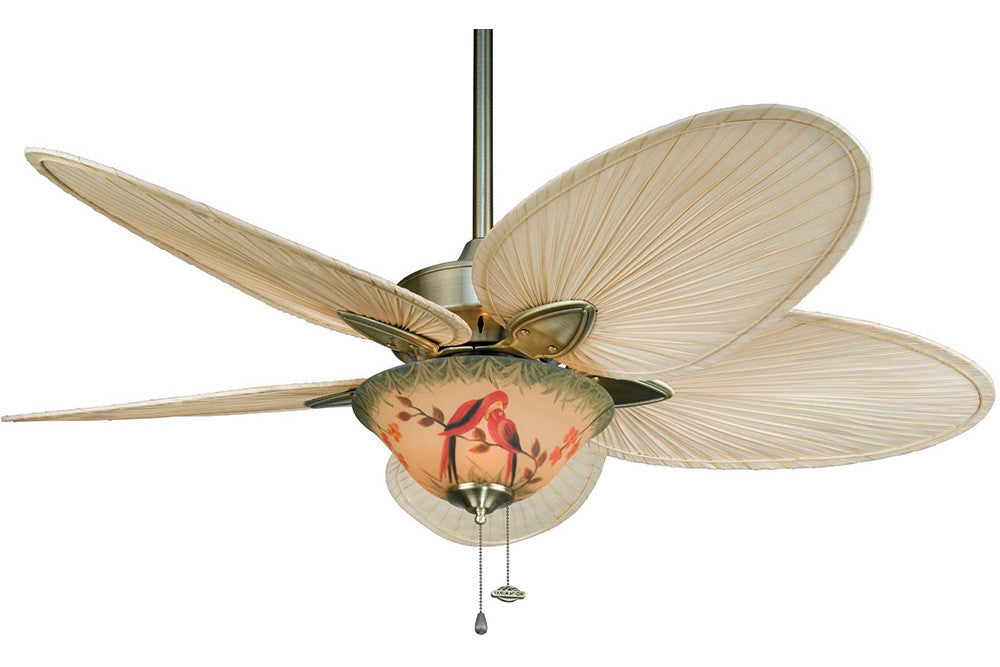 Fanimation Fp7500ab Lk113wh 52 Windpointe Ceiling Fan In