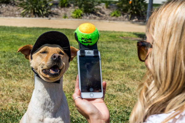 How to take a selfie with your dog