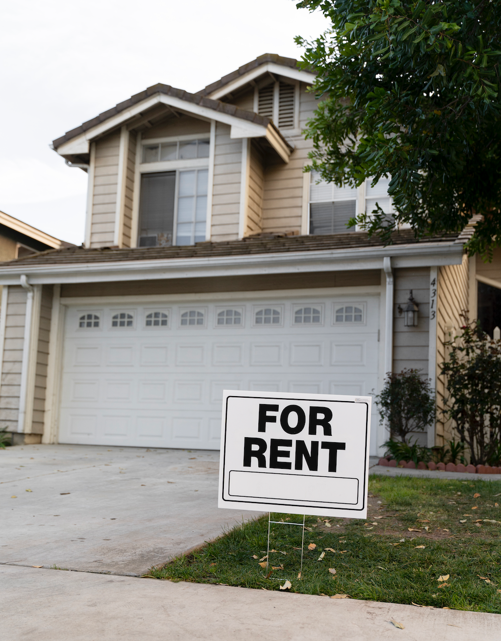 What is the Best Water Filter System for Renters?