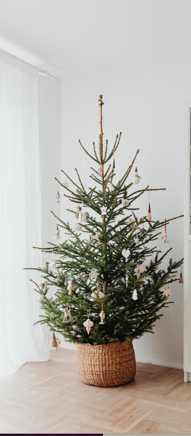 Tricks and Tips: Watering Your Christmas Tree