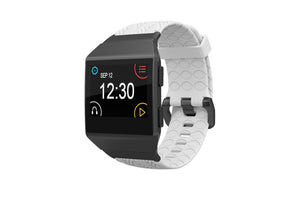 fitbit ionic gray