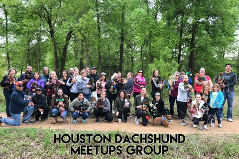 Houston Texas Dachshund Group