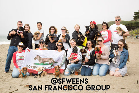 San Francisco Dachshund Group