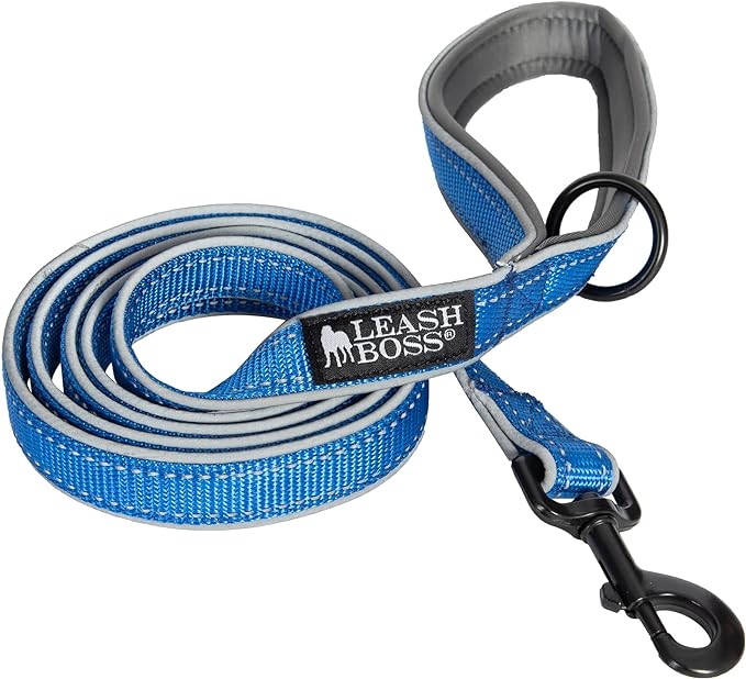 Double-Thick 6 Foot Reflective Leash with Padded Handle