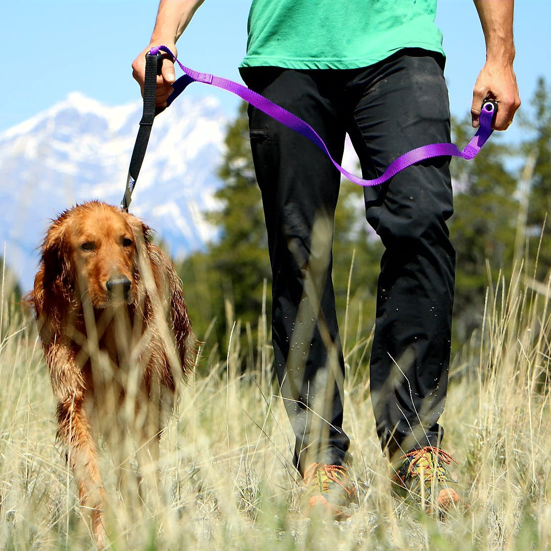 best leash for strong dogs