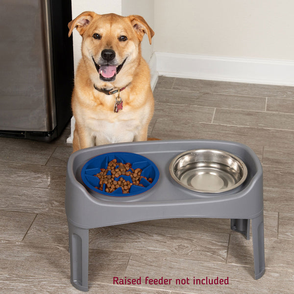 dog slow feeder ceramic bowl