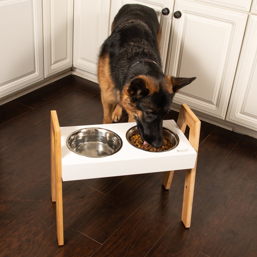 Skyrise Adjustable Elevated Dog Feeder Leashboss