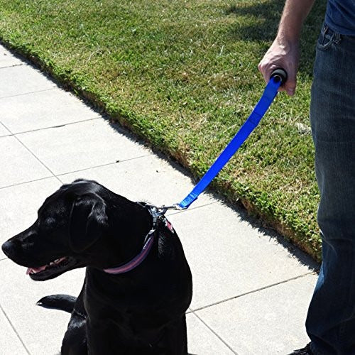 dog leash for big dogs