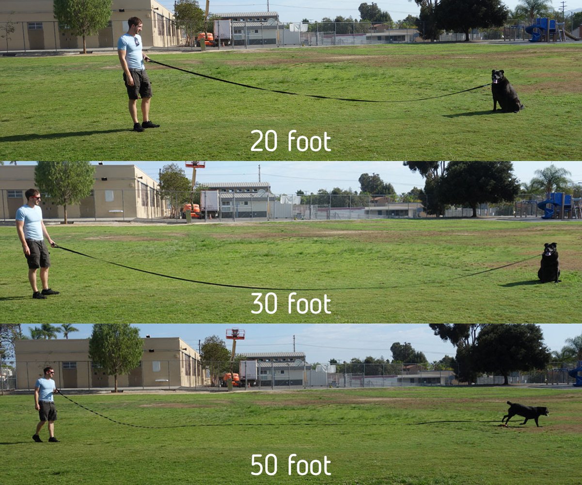 1 Inch Nylon Long Dog Training Leash 