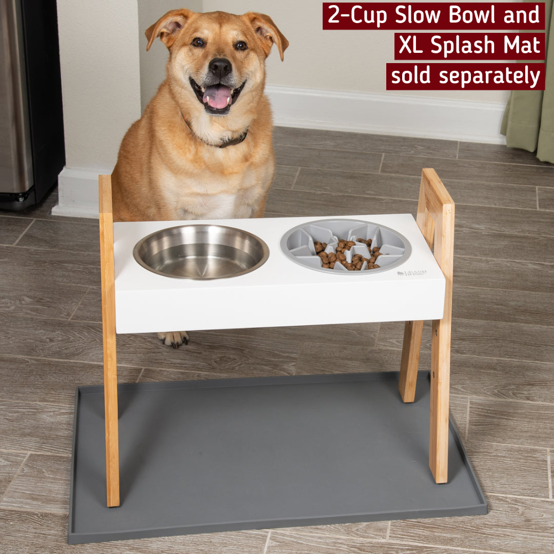 xl elevated dog feeder