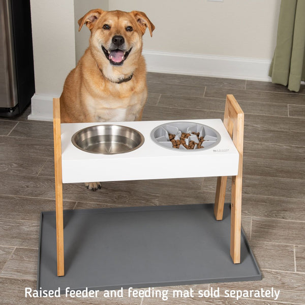 slow feeder dog bowl short snout