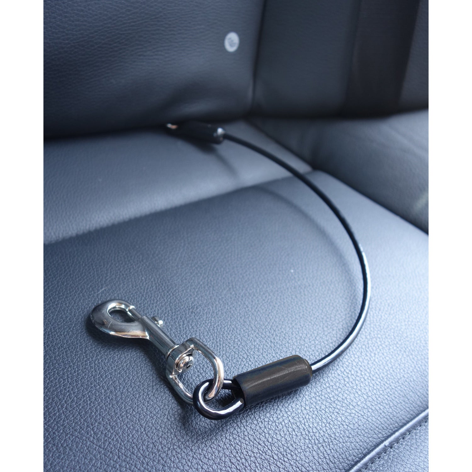 heavy duty dog seat belt