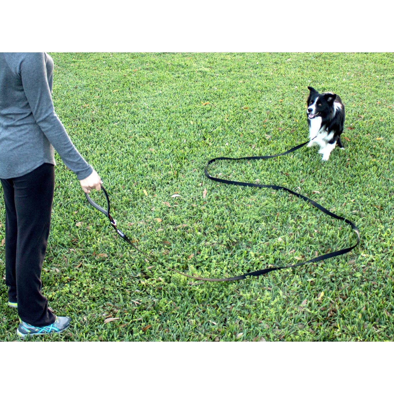 long dog leash
