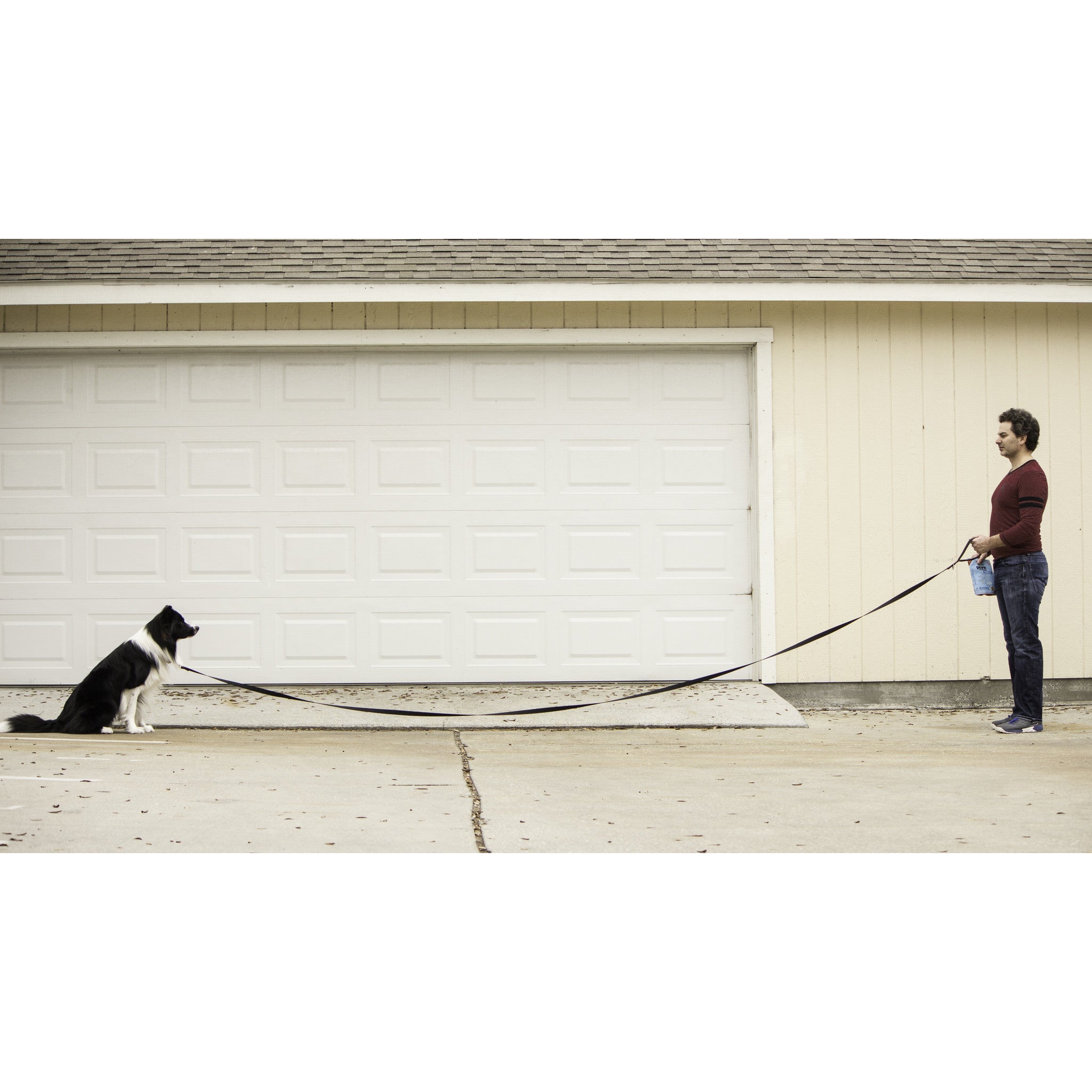 15 Foot Dog Leash with Padded Handle 