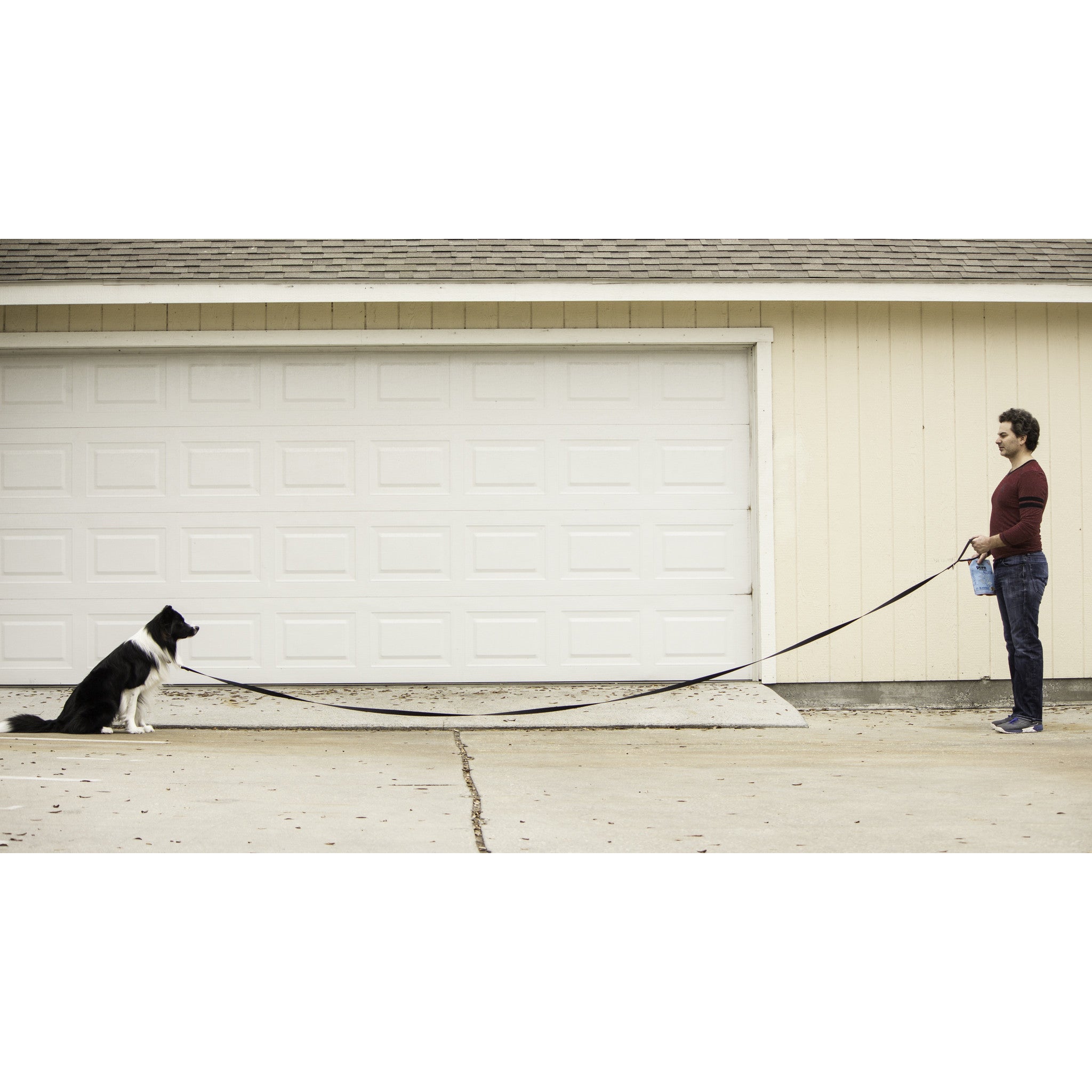 15 ft training leash