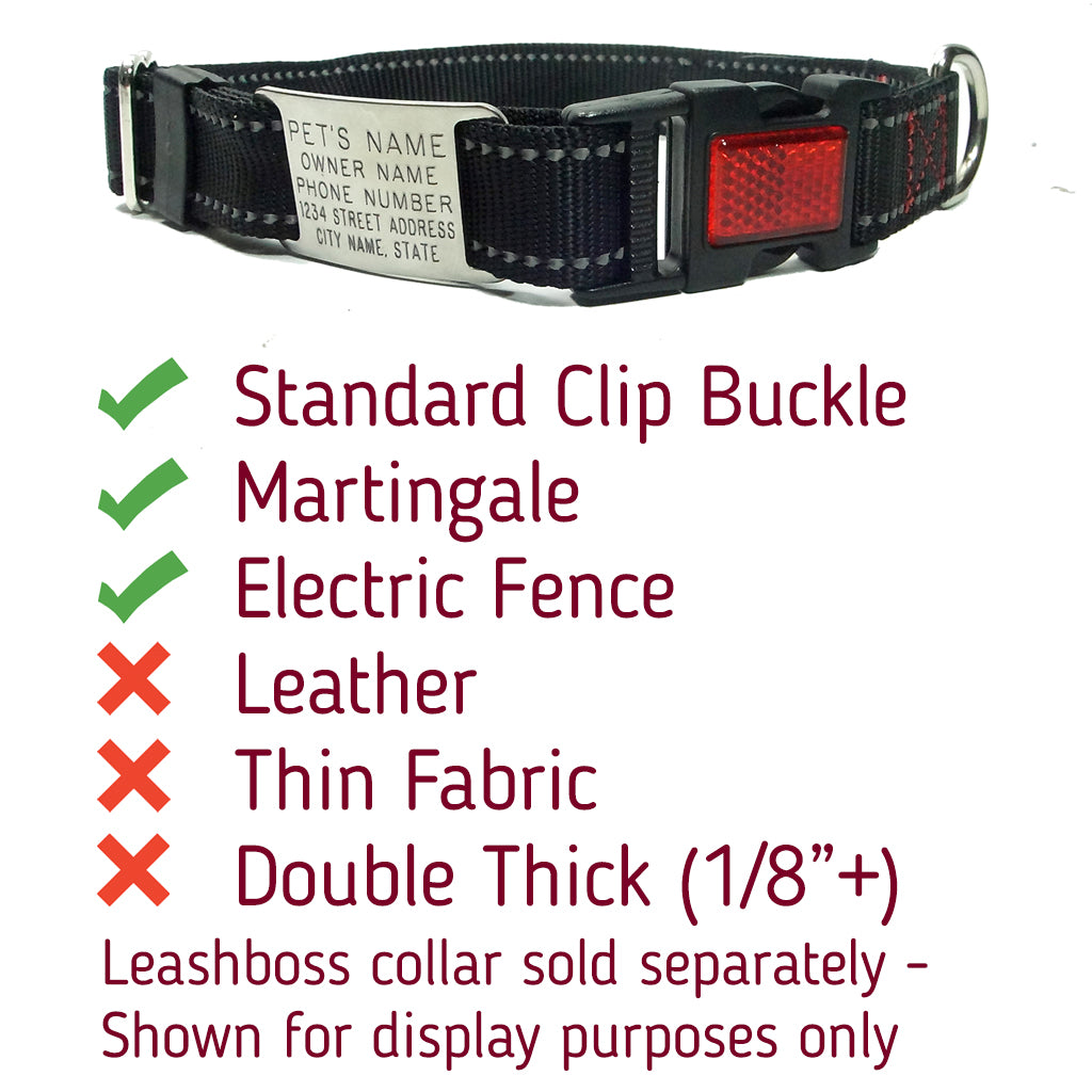 no tag dog collar