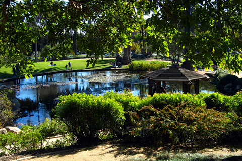 Alice Keck Memorial Park Santa Barbara