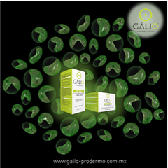 Chlorella