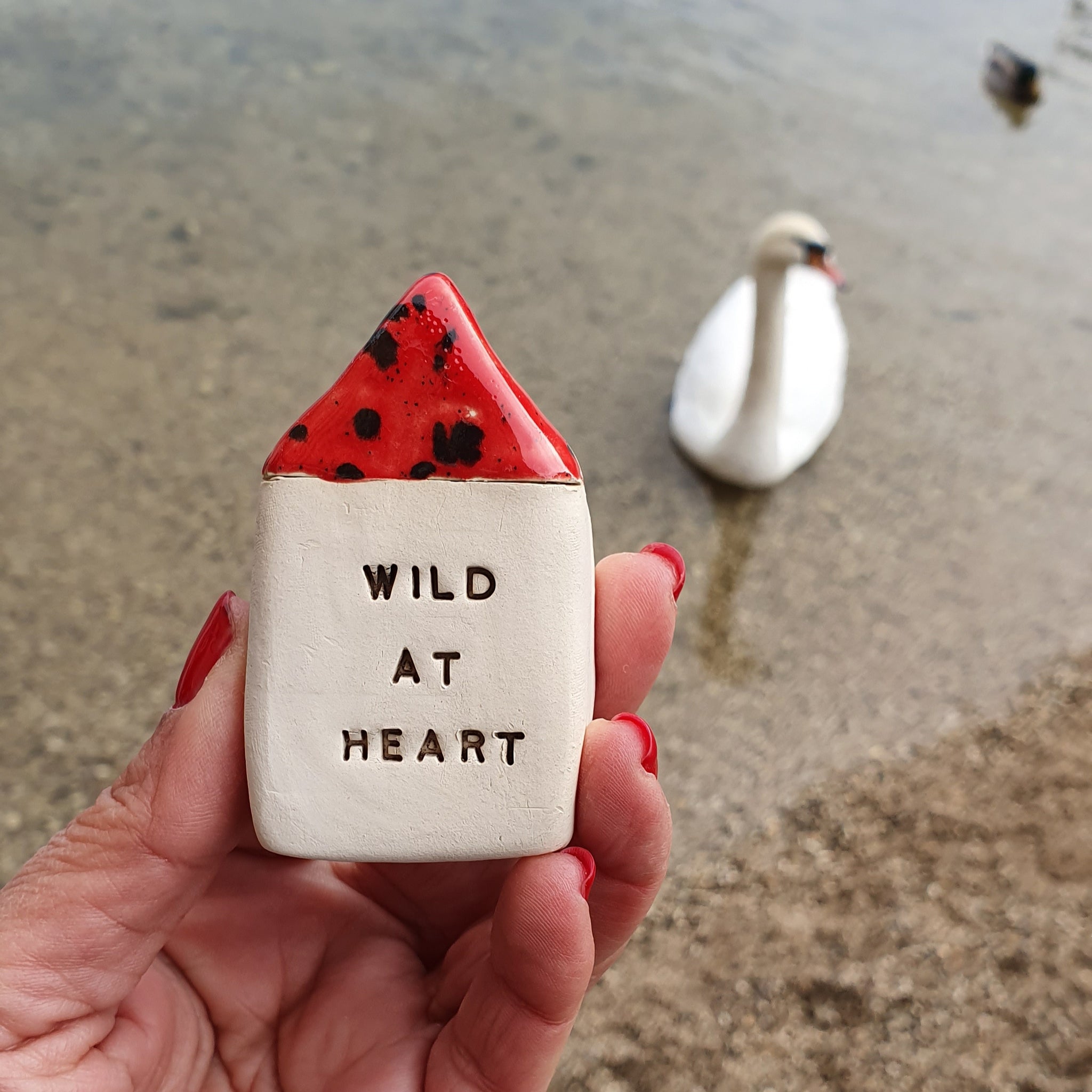 Wild at heart 