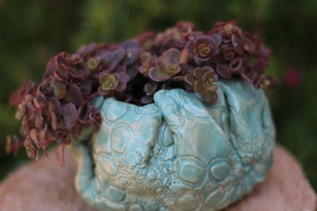 ceramic planter