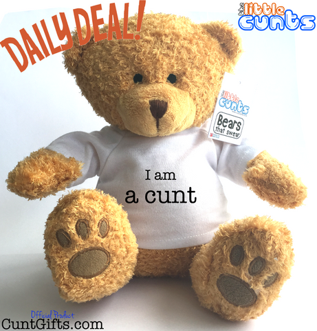 I am a little cunt - Teddy Bear