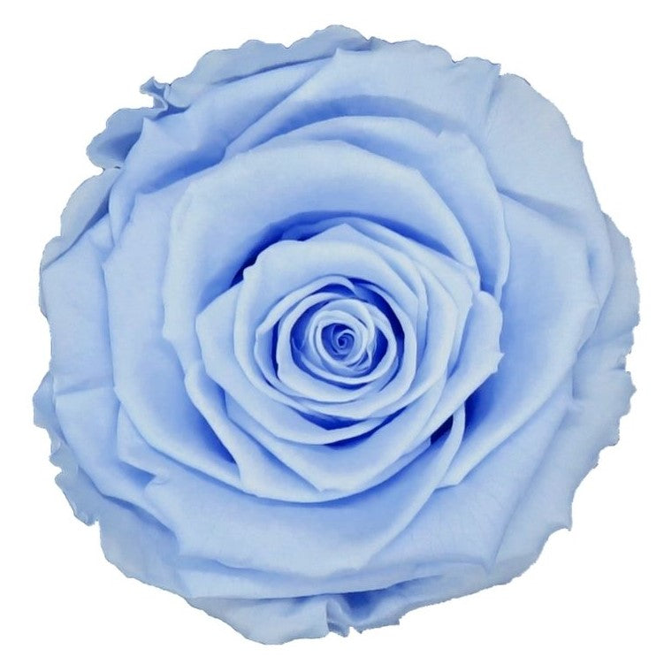Boîte Single Blanche Monogramme | Rose Bleue Clair | The Million Roses