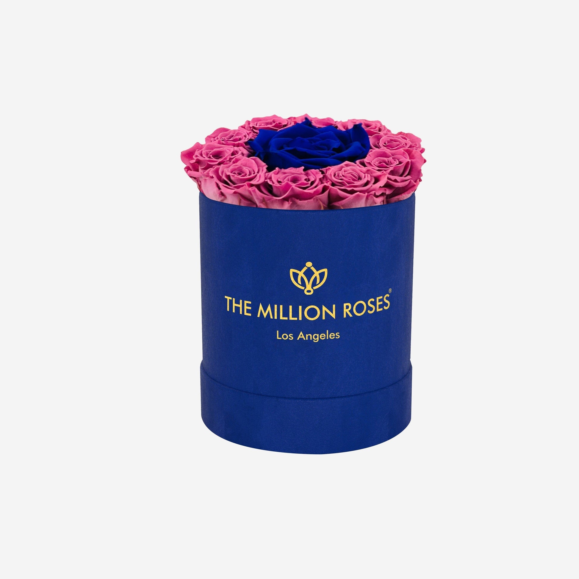 Basic Caja de Gamuza Azul Rey | Rosas Orquídea & Rosas Azul Rey Miniatura |  The Million Roses