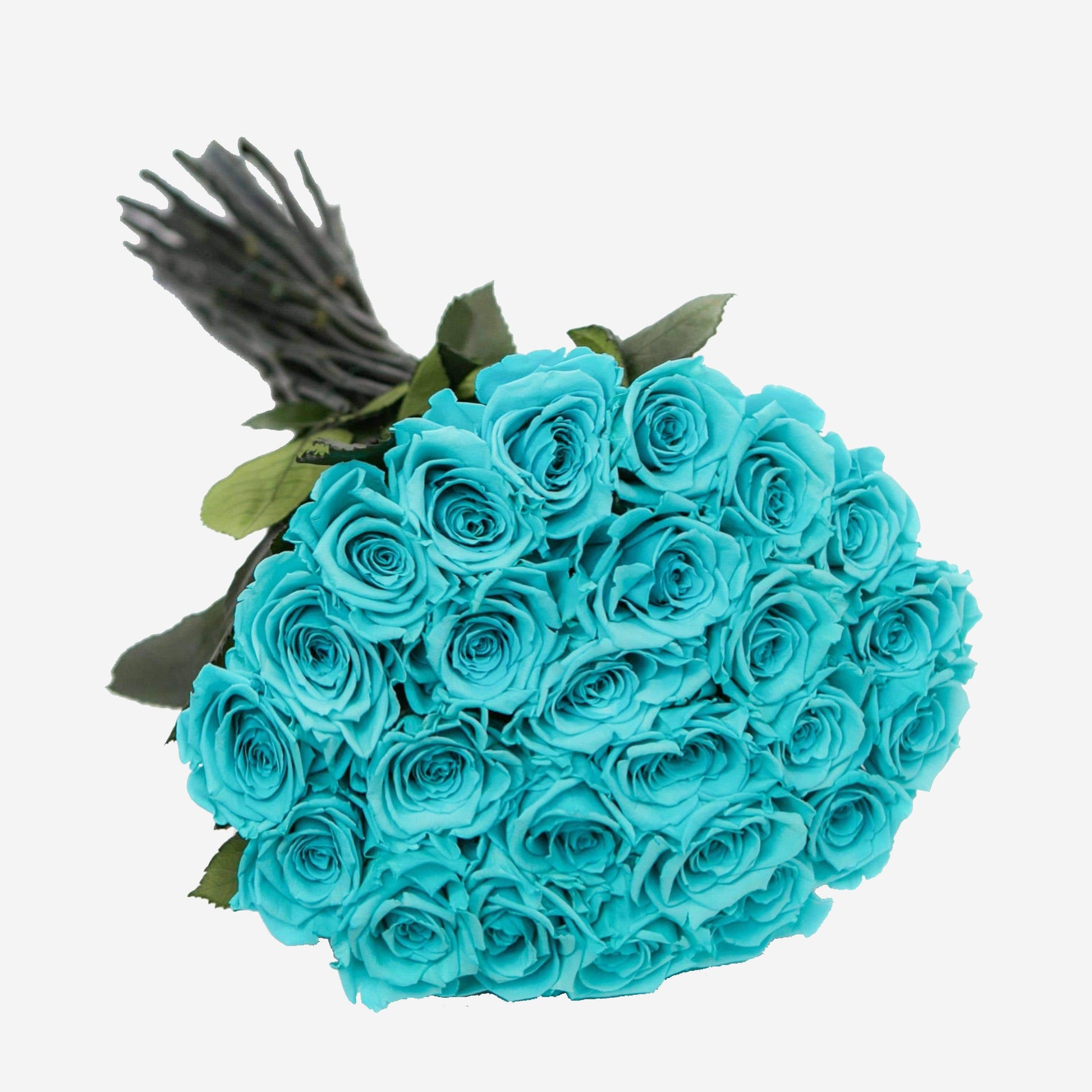 Rosas de Tallo Largo | Rosas Azul Tiffany | The Million Roses