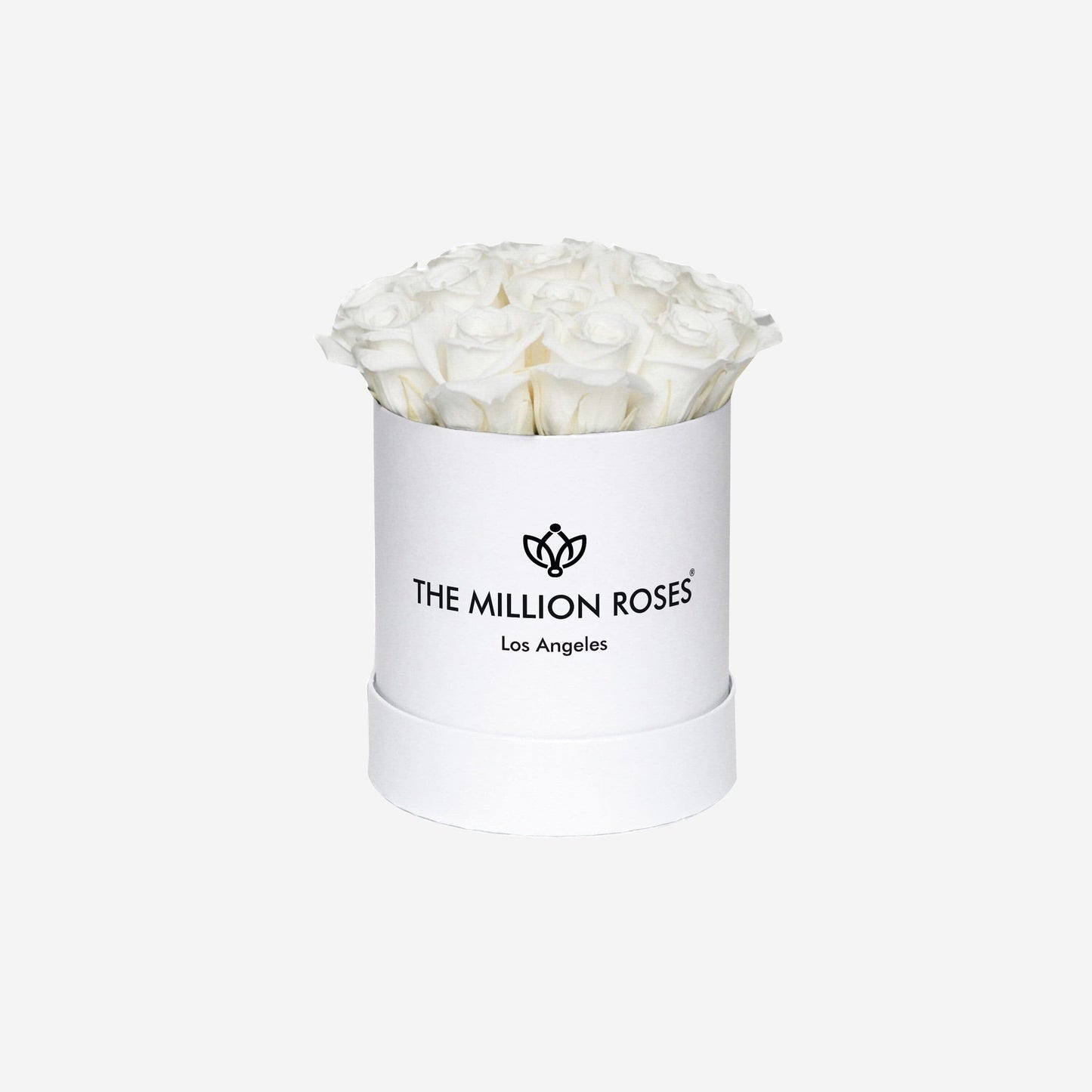 Basic White Box | White Roses