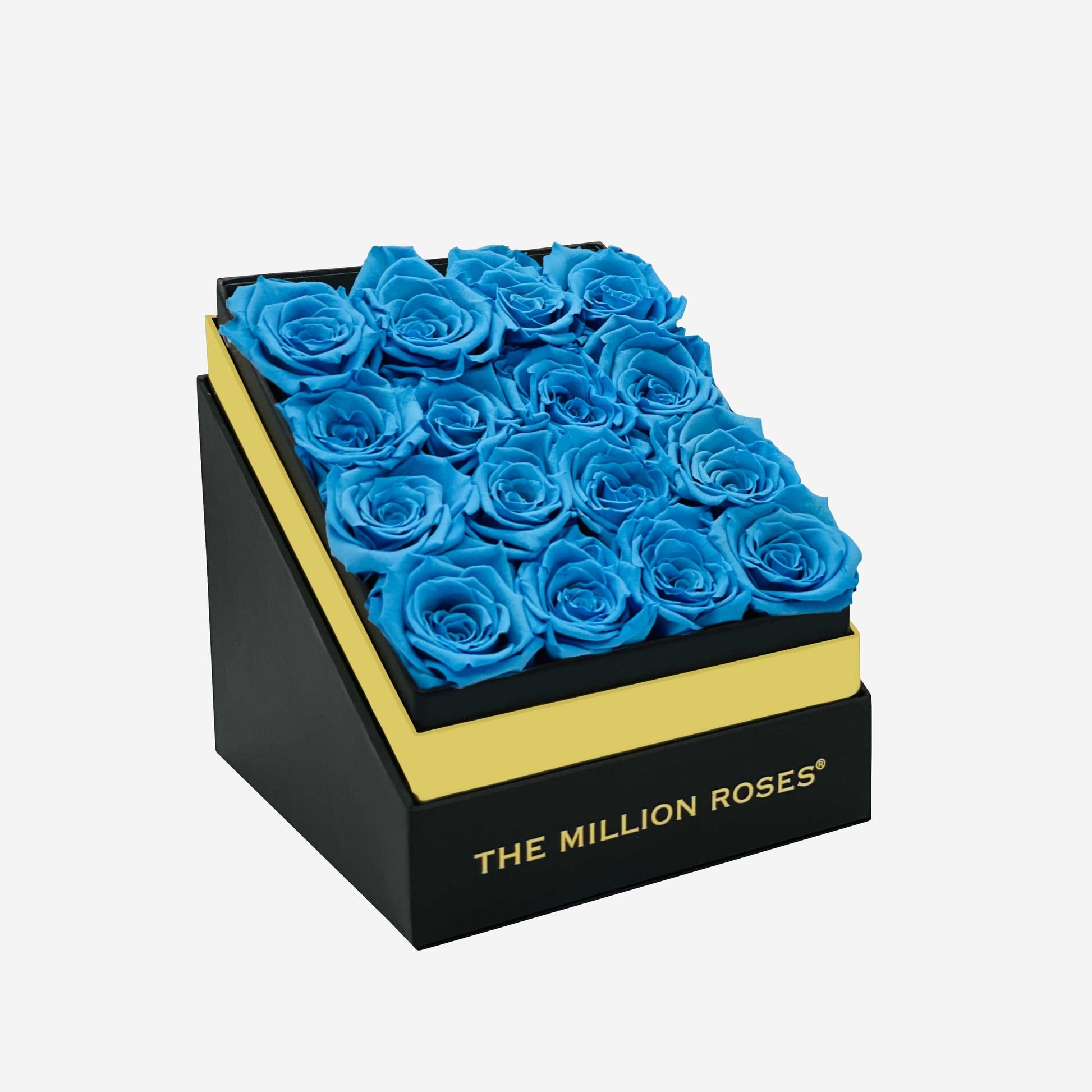 Square Caja Negra | Rosas Azul Claro | The Million Roses