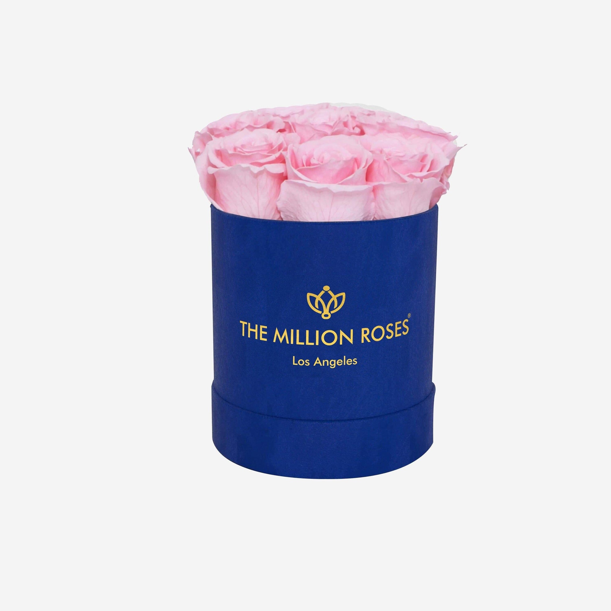 Basic Caja de Gamuza Azul Rey | Rosas Rosado Pastel | The Million Roses