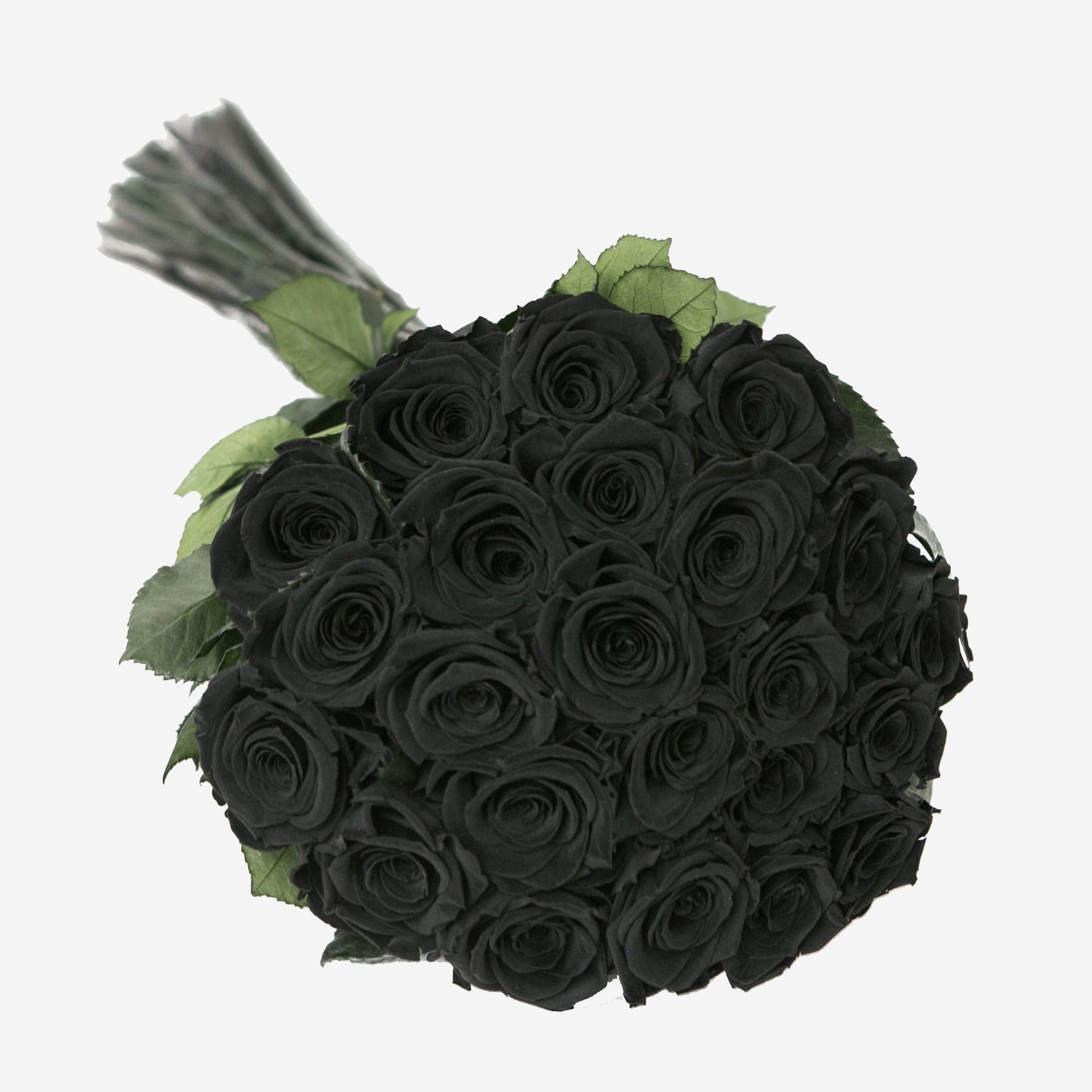 Rosas de Tallo Largo | Rosas Negras | The Million Roses