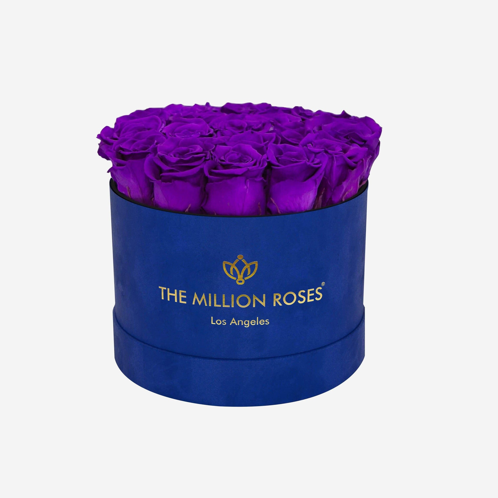 Classic Caja de Gamuza Azul Rey | Rosas Morado Brillante | The Million Roses