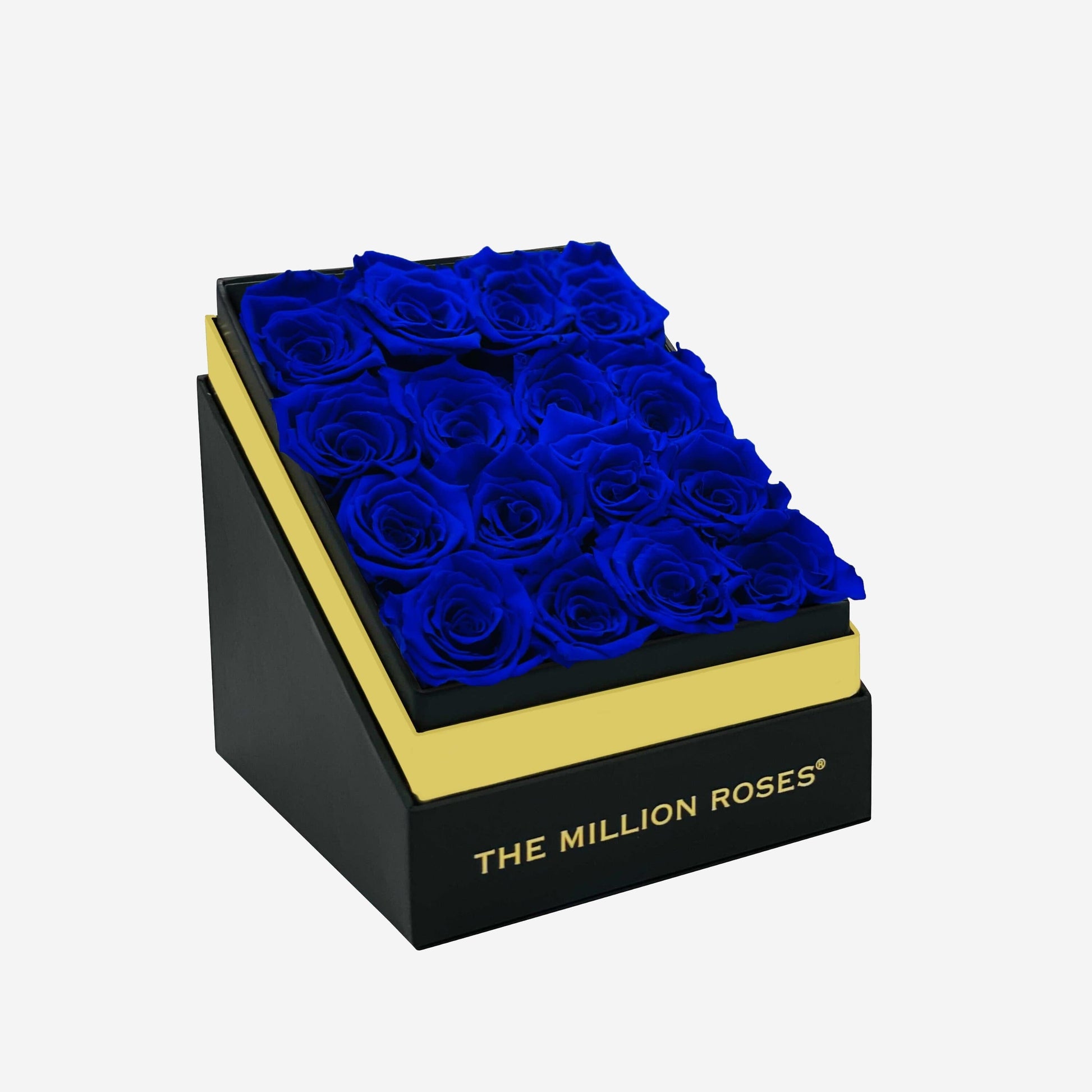 Square Caja Negra | Rosas Azul Rey | The Million Roses
