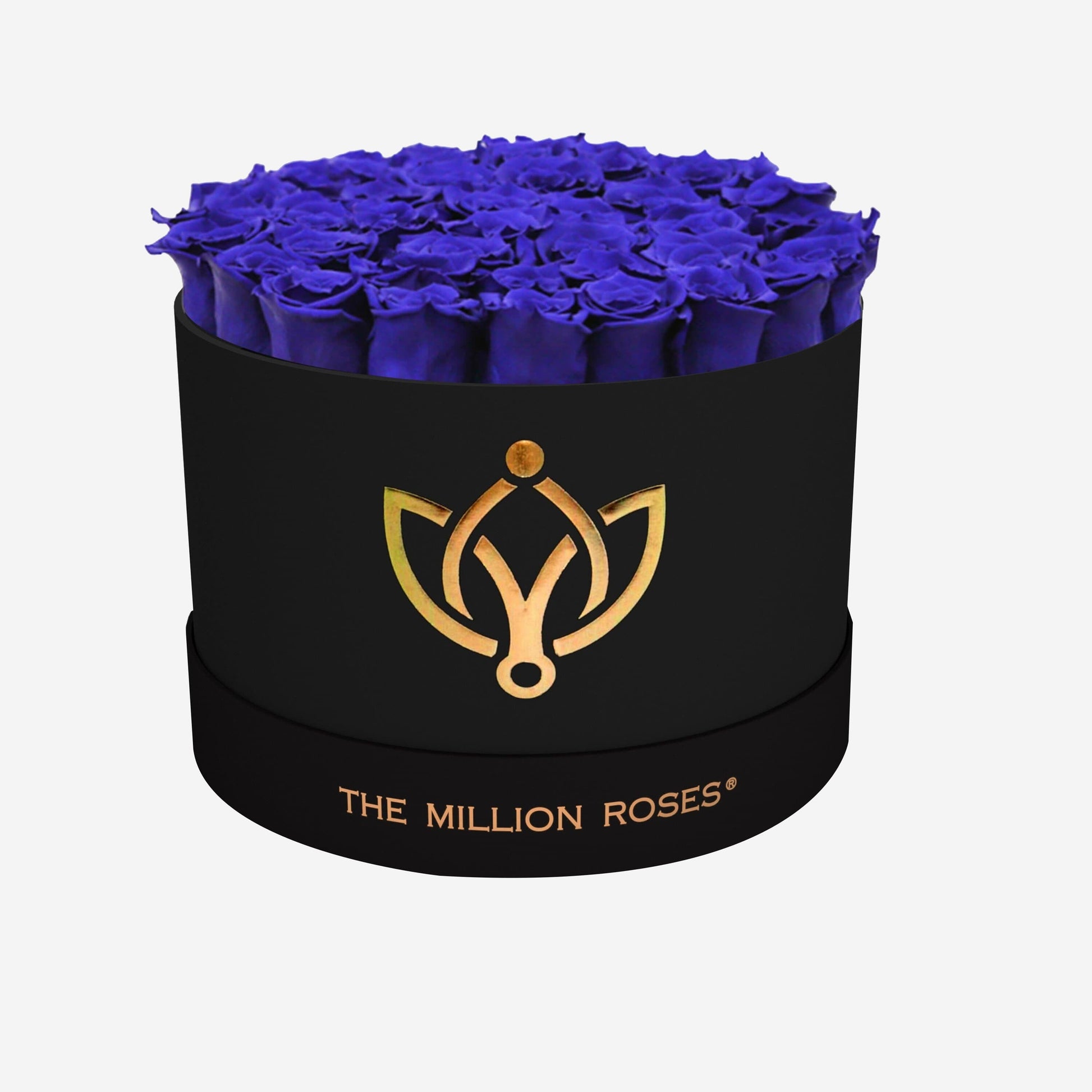Supreme Caja Negra | Rosas Azul Rey | The Million Roses
