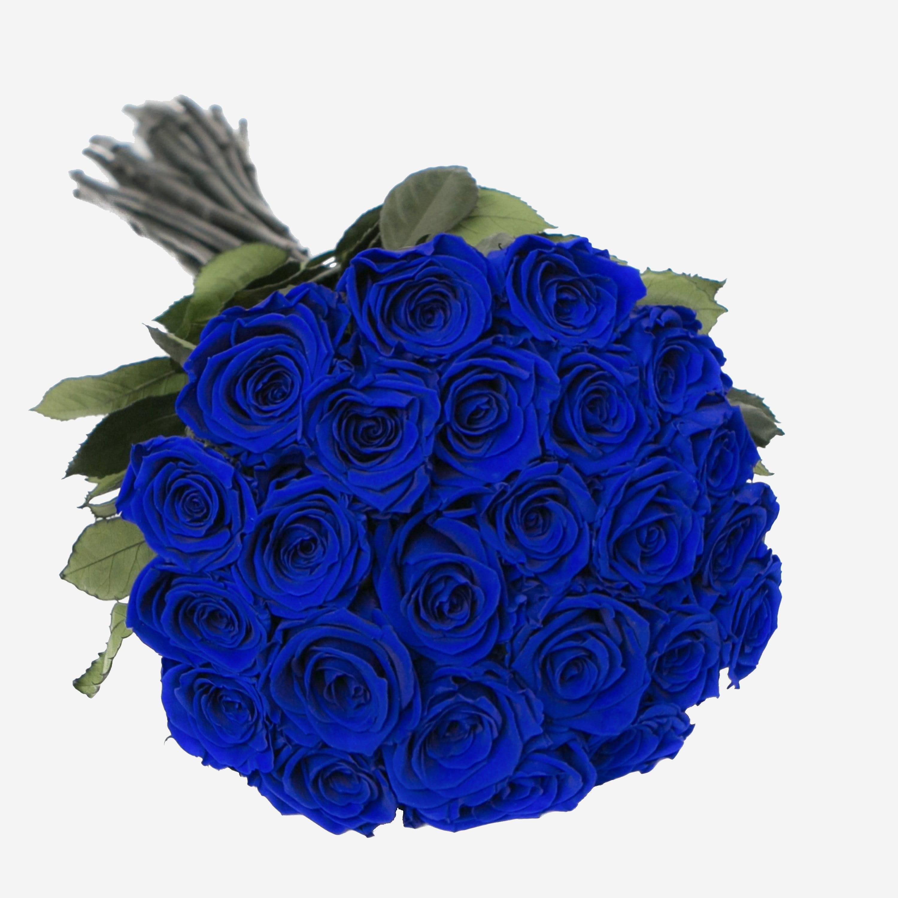 Rosas de Tallo Largo | Rosas Azules | The Million Roses