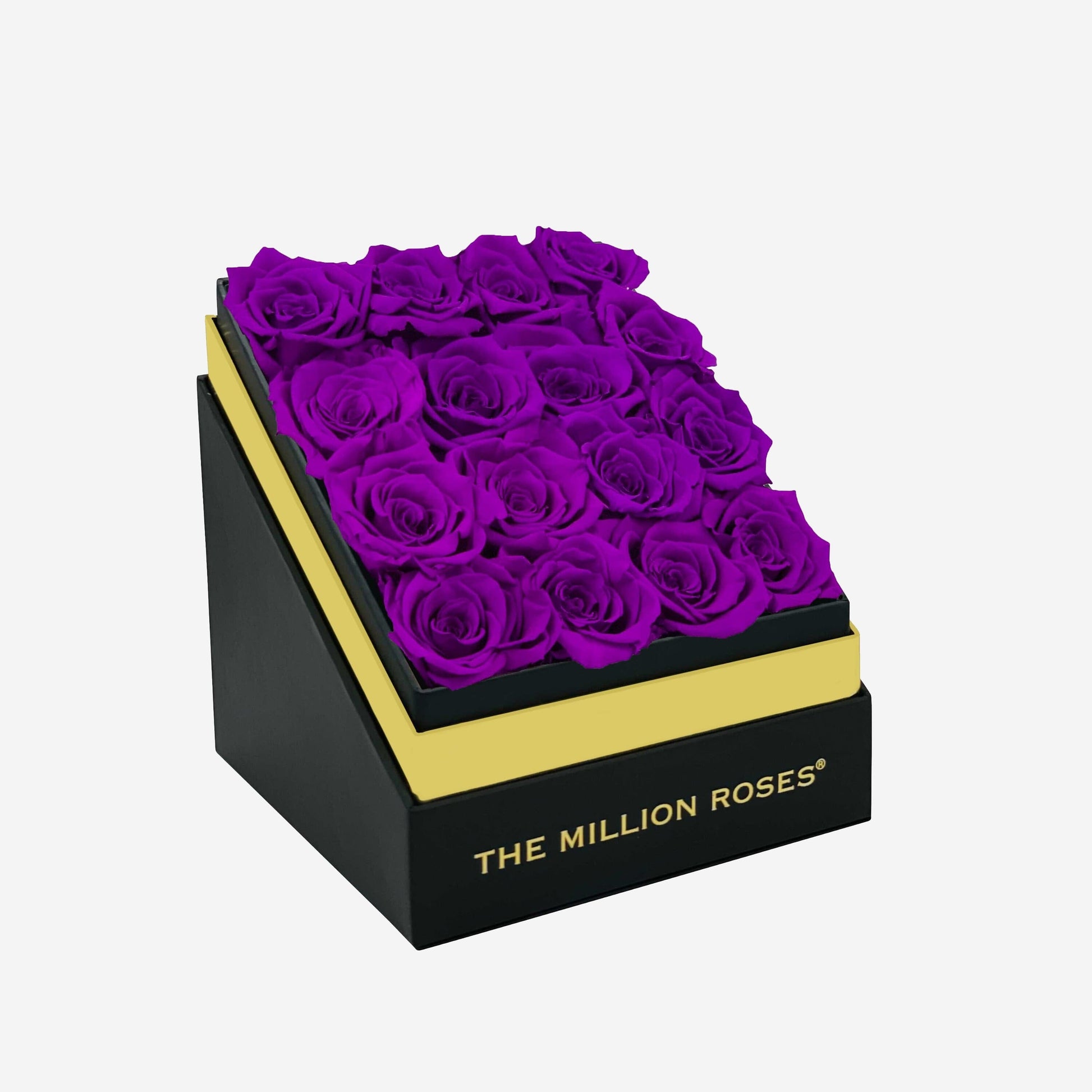 Square Caja Negra | Rosas Morado Brillante | The Million Roses