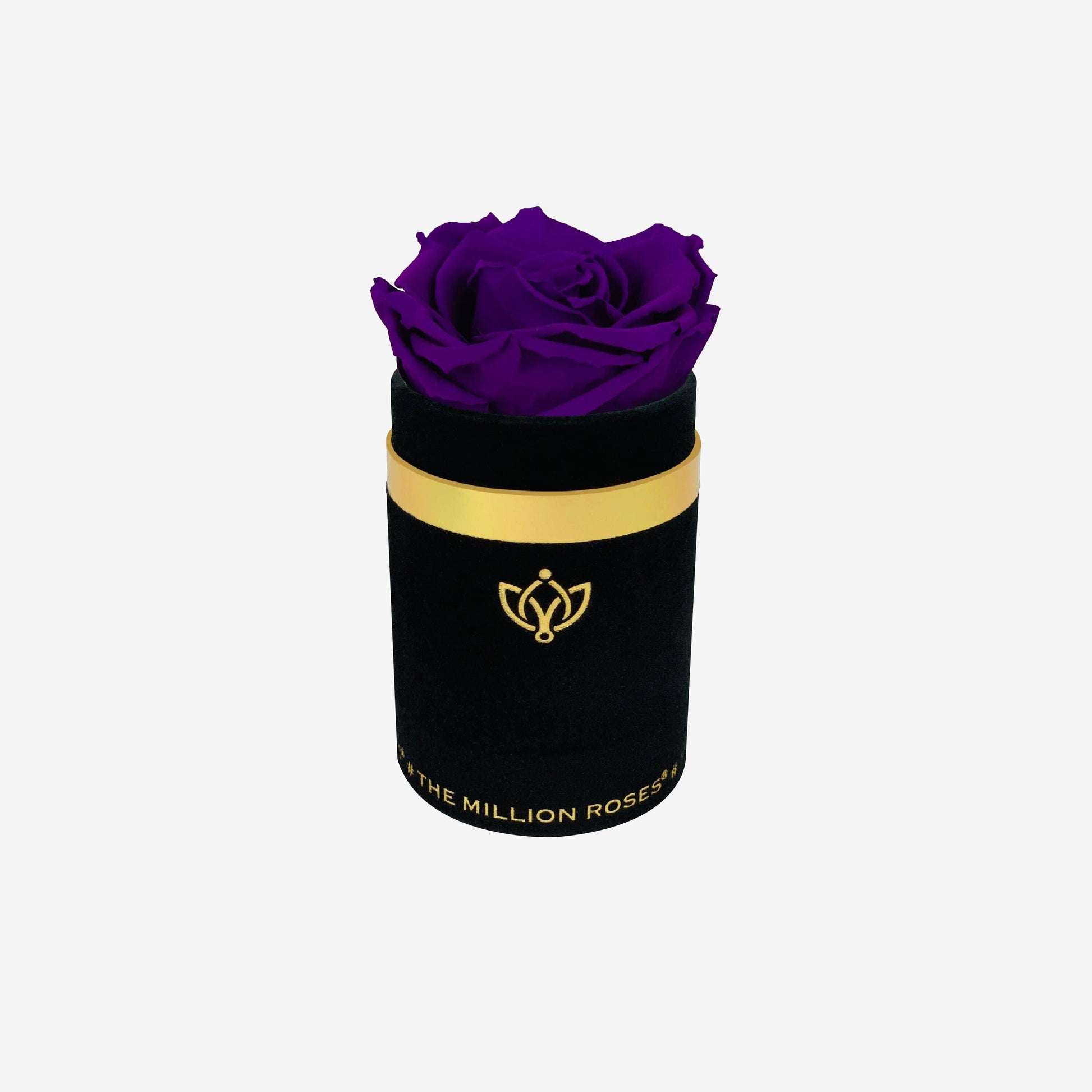 Single Caja de Gamuza Negra | Rosa Morado Brillante | The Million Roses